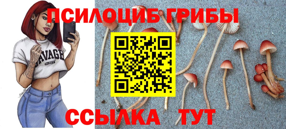 Галлюциногенные грибы Cubensis Асбест