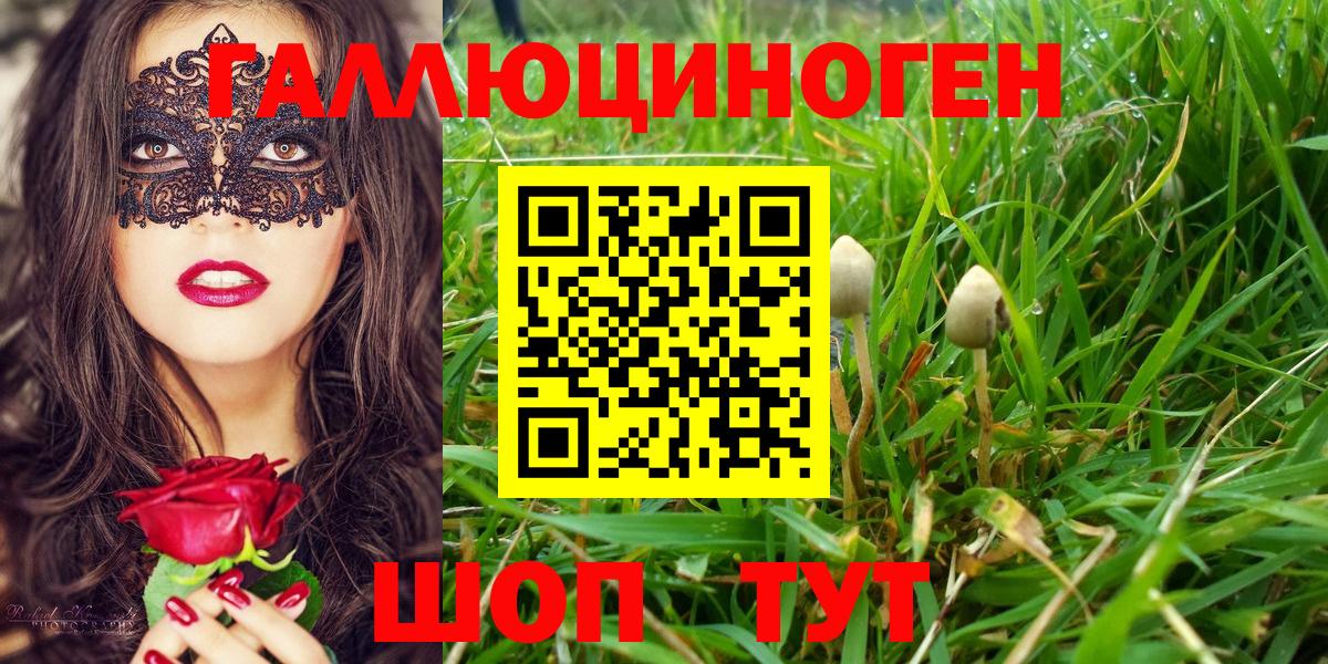 Асбест  Псилоцибиновые грибы прущие грибы  Вход с VPN 